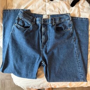 Everlane Way High Straight Leg Jeans